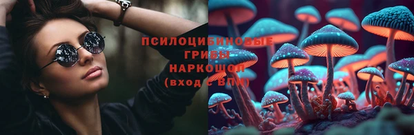 тгк Аркадак