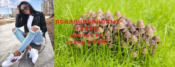 бошки Арсеньев