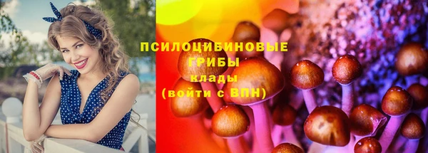 тгк Аркадак