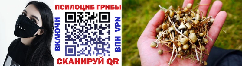 магазин продажи наркотиков  МЕГА как зайти  Галлюциногенные грибы Magic Shrooms  Нижние Серги 